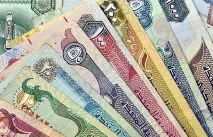 أخبار العالم : سعر الدرهم الإماراتى مقابل الجنيه المصرى اليوم فى البنوك المصرية