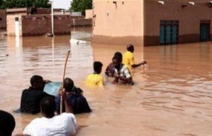 أخبار عربية : مسئول سودانى: السيطرة على الأمراض الوبائية بولاية الخرطوم