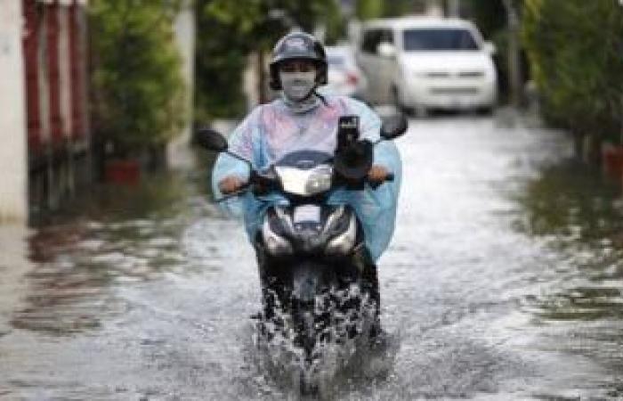 الأخبار العالمية : ظاهرة بيئية غريبة فى البرازيل والأرجنتين.. "المطر الأسود" يثير القلق.. فيديو