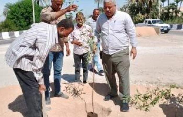 محافظات : مواصلة أعمال التشجير وزراعة الشتلات بمركز البدارى ضمن مبادرة "100 مليون شجرة"