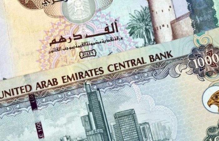 سعر الدرهم الإماراتي مقابل الجنيه المصري اليوم الأربعاء 18 سبتمبر 2024