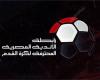 رياضة : شركة ألمانية تدير الدوري المصري الجديد